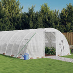 Serre de Jardin Tunnel 30m2 Blanc