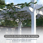 Pergola Bois Massif Végétale